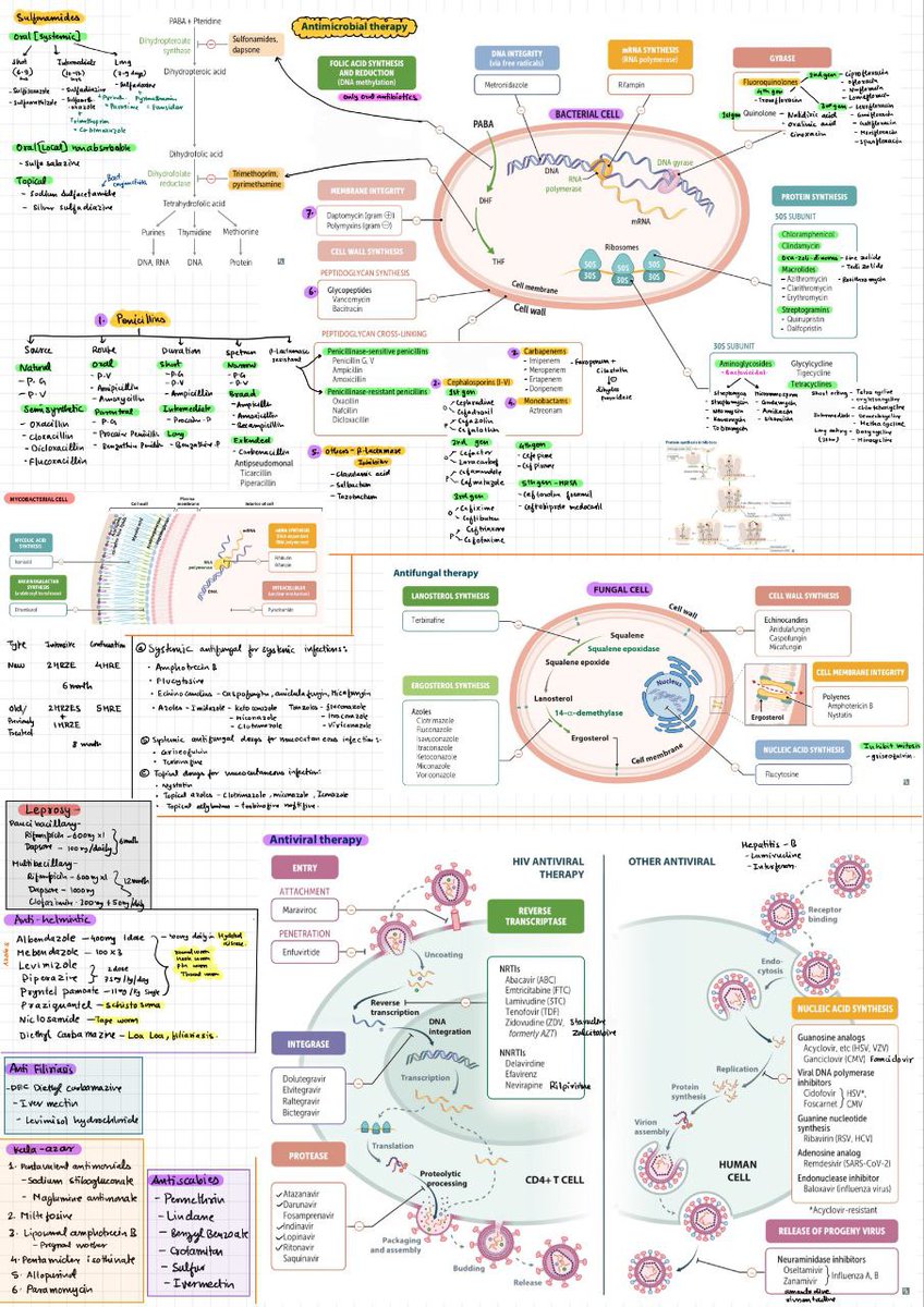 And lastly pharmacology in 5 pages.❤️‍🔥