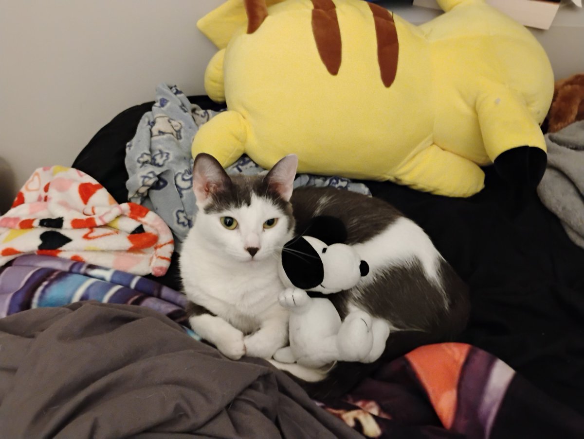 🕷️miri's island✡️ (@dykescospider) on Twitter photo 