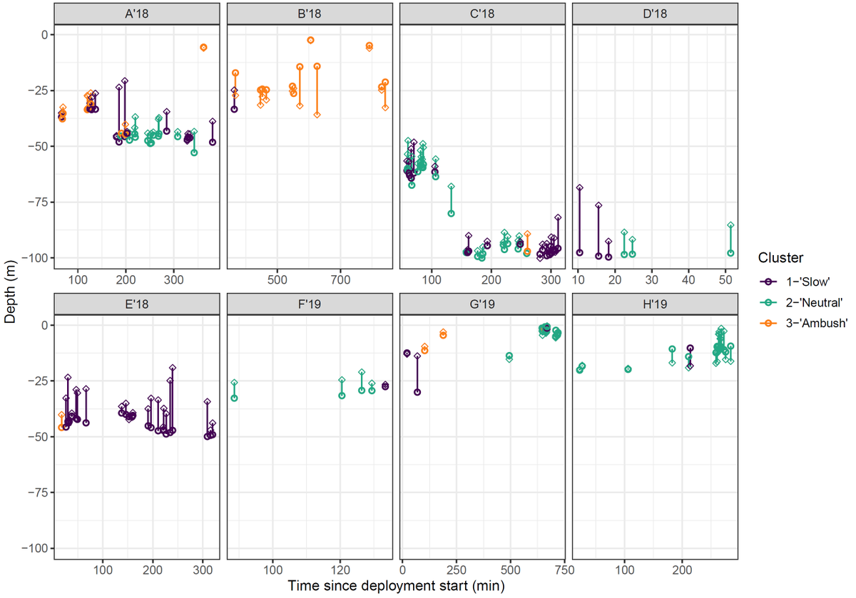 Jacopo Di Clemente tweet media