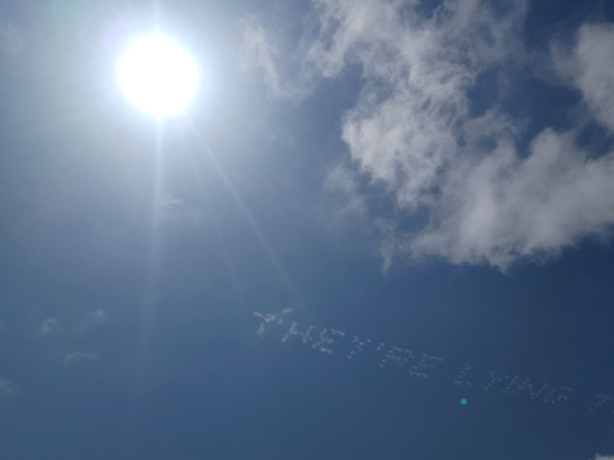 Drixx Madison 🎵 tweet media