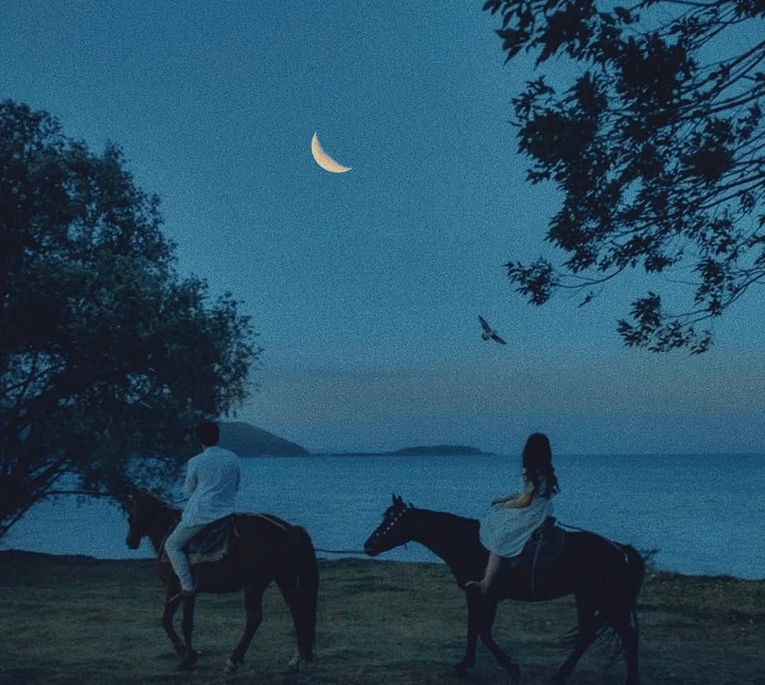 بحر 🌊 (@butterflless) on Twitter photo 