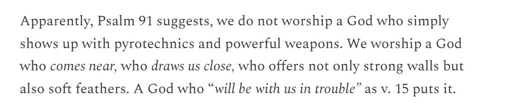Reflecting on being caught off guard by a startling image for God in Psalm 91 this week.
substack.com/home/post/p-16…