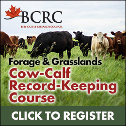 Wanting more support in developing a grazing plan?
Enroll in the BCRC's free, six-part email course to explore rangeland health assessment, forage crop production records, feed inventory and feed testing, and calculating carrying capacity.

Start today!⬇️mailchi.mp/beefresearch.c…
