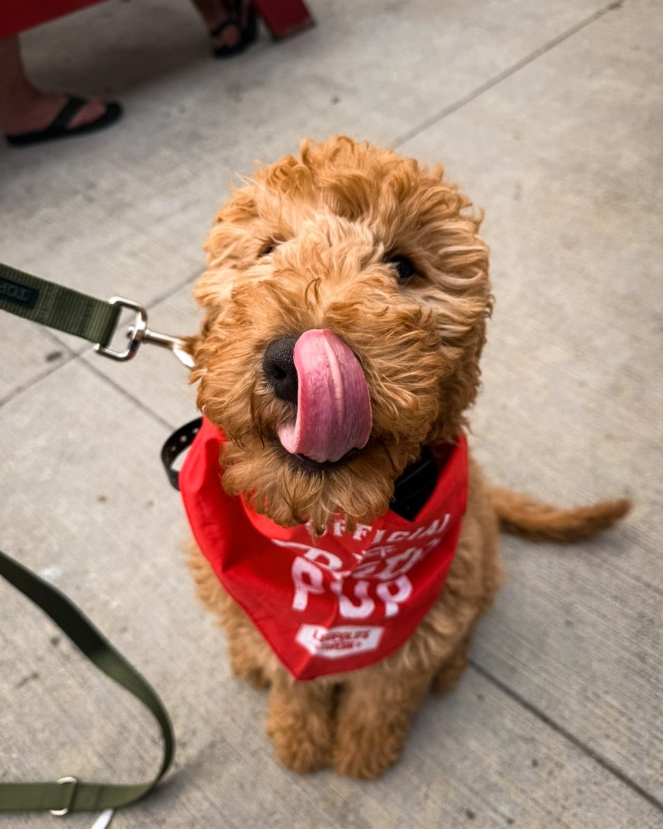 ❤️ LEO'S PATIO PUPS ❤️

We love patio season for a very specific reason, your cute pups! All Leo's outdoor patios are dog-friendly, come bring your pup and get a custom treat! 🦴

#seeyouatleos