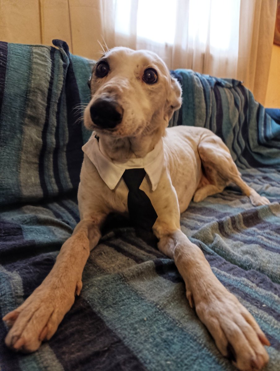 Por qué tan elegante, Olivia?
Mañana voy a conocer una familia, muchacho...