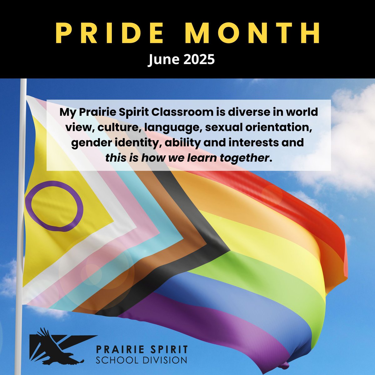 My Prairie Spirit Classroom is diverse in world view, culture, language, sexual orientation, gender identity, ability and interests and this is how we learn together. 

We celebrate the diversity in Prairie Spirit School Division. We believe there is strength in diversity!