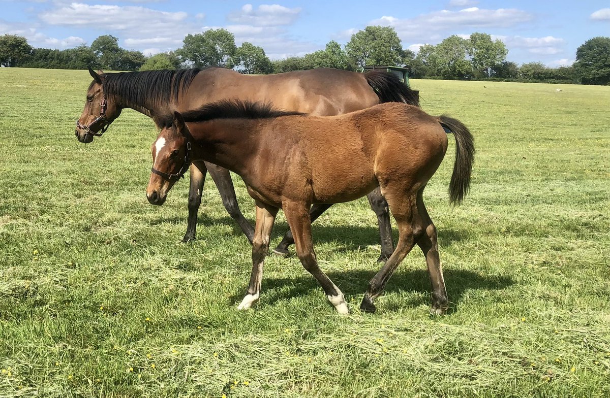 tim Cooper tweet media