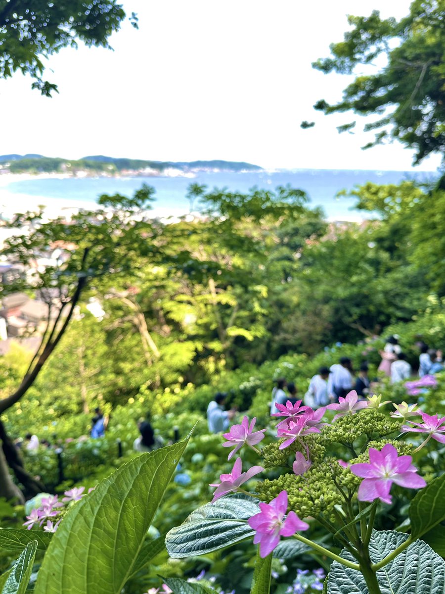 【mayu様ページ】 ⋆⸜ Mayu⸝⋆* on X