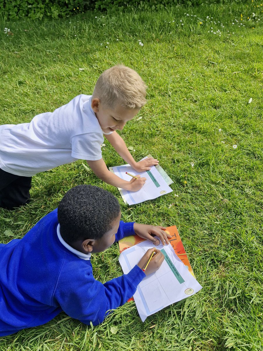 #sjkelderclass today, taking our science lesson outside. Hunting for and identifying different plants before sketching them. Poppies, mustard plants, daisies and buttercups to name just a few! #sjkscience #sjkoutdoorlearning