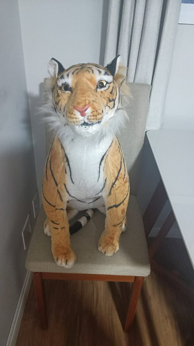 Malubrunn's tweet photo. Às vezes o grupo de vendas do meu condomínio rende algumas perólas hahahaha
Acho que até eu teria medo desse tigre https://t.co/vh6MkwVNbg