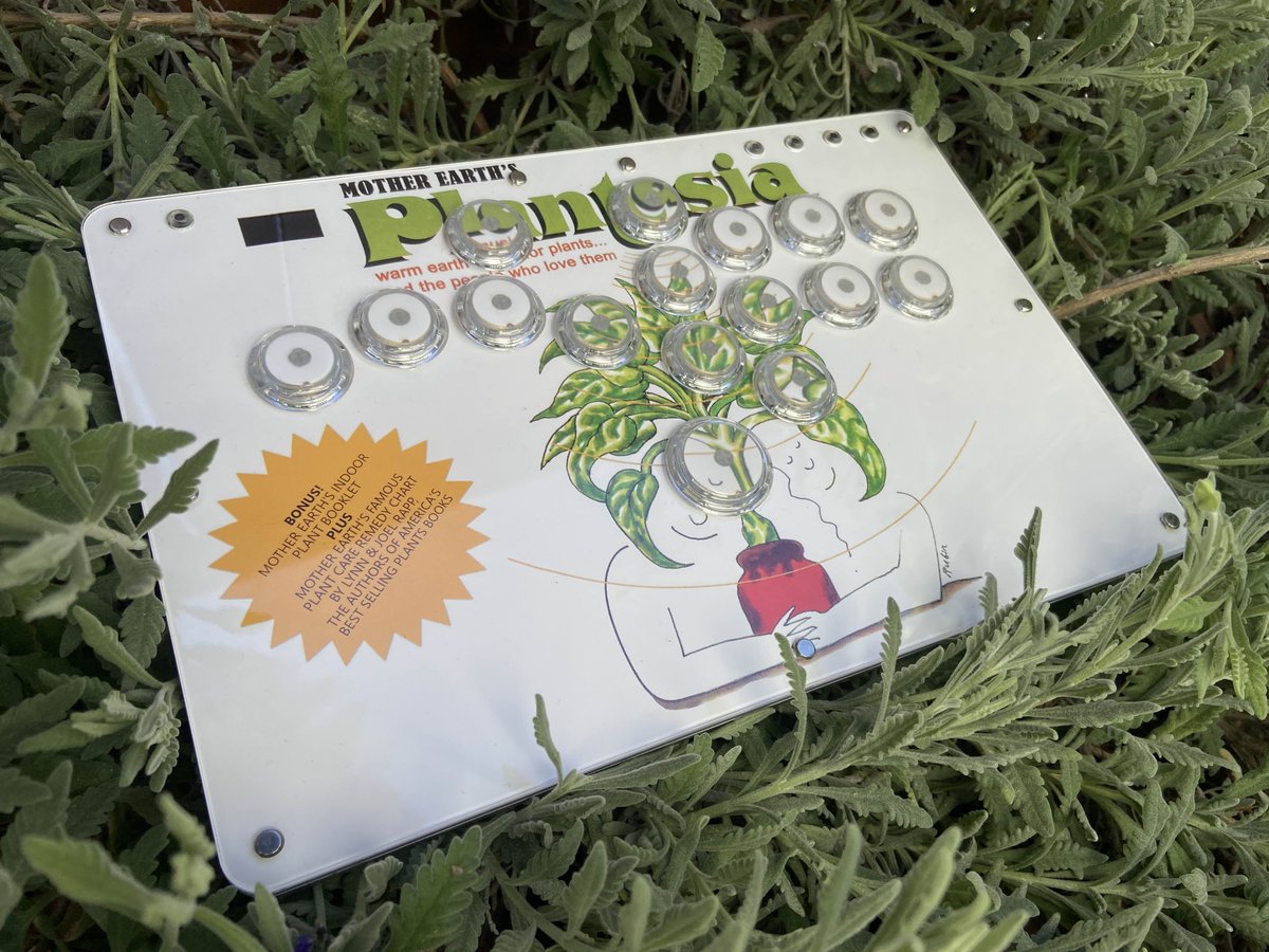 squibknocker's tweet image. while im fighting games posting u should look at my new plantasiabox :)