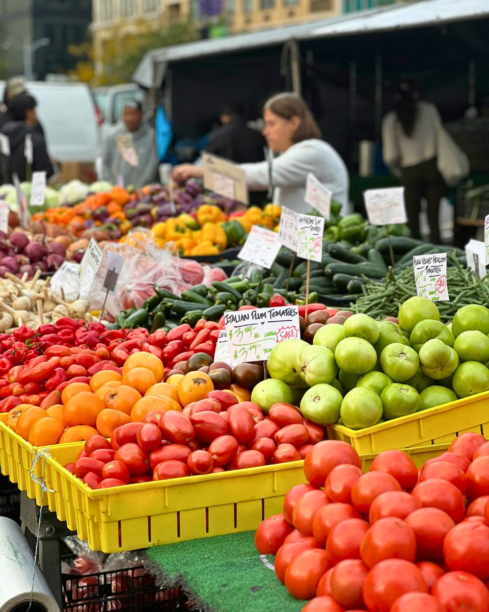 It’s Local Food Week! 🥦🍎 By supporting Ontario and Canadian farmers, we enjoy high-quality, nutritious food and help build a stronger economy, while keeping farmland used for what it’s meant for: farming.

Read more: shorturl.at/M0mgp

#OntAg