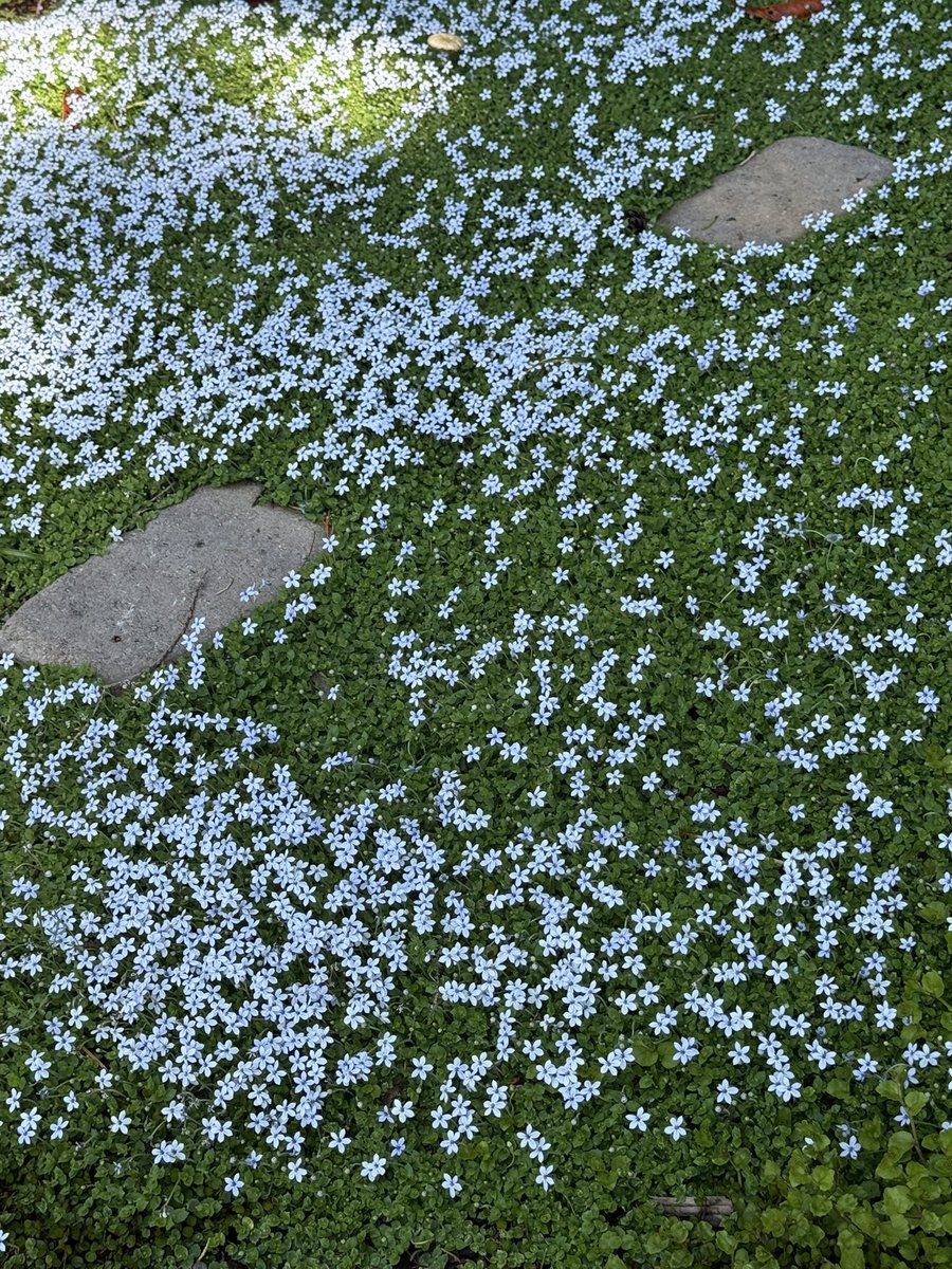 I wonder where this path leads to?

(My photo)