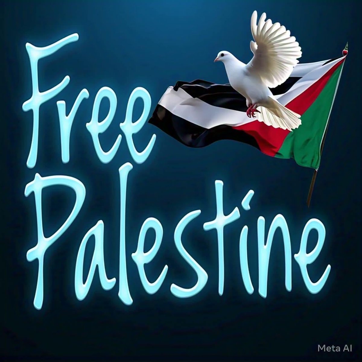 Good Evening 🌞 World 🌎 
#FreePalestine #FreeGaza 🇵🇸