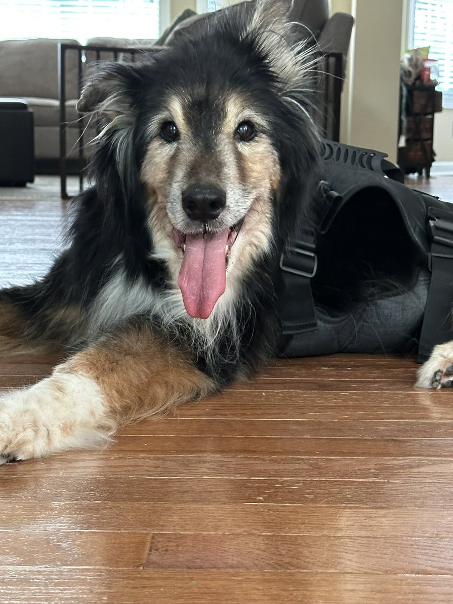 #cooperpanico enjoying himself