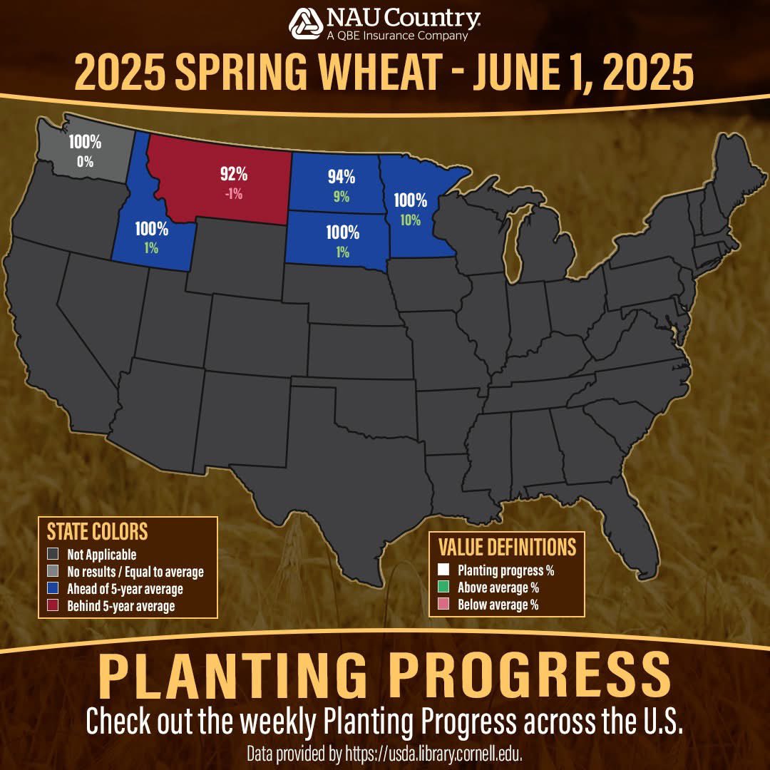 naucountry's tweet image. Check out the latest USDA data showing crop planting progress for corn, soybeans, grain sorghum, cotton, and spring wheat by state. Learn more here naucountry.com/about-us/news/…. #Plant25 #CropProgress #USDA