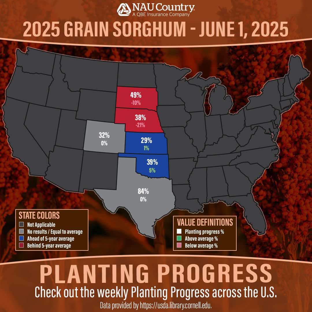 naucountry's tweet image. Check out the latest USDA data showing crop planting progress for corn, soybeans, grain sorghum, cotton, and spring wheat by state. Learn more here naucountry.com/about-us/news/…. #Plant25 #CropProgress #USDA