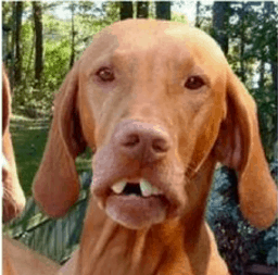 cp086732's tweet photo. @shadychronicle I think I found Cletus Doppelganger..... https://t.co/WxHXuGB5zy
