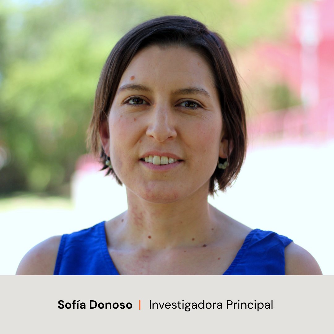 LABOFAMchile tweet media