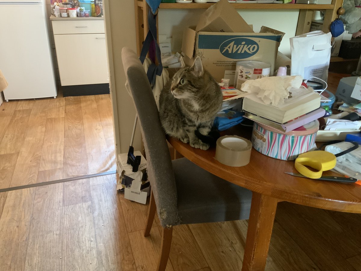 Pot verdorrie seg huis vol met dozen.Ons niet vergeten hè 😼Vrouwtje  hulp  gehad  van  lieve  mense  van  diakonie  stlf  was  ze  ook  op  zolder  bezig .Begeleiding  zij  dat  vrouwtje  eve  rustig  aan  moest  doen  laatste  nachtje  in  dit  huis  afscheid  neme  😽😽😽🐶