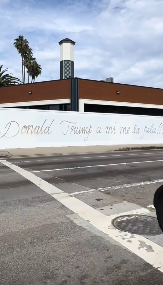 What if we kissed at the Donald Trumo A Mi Me La Pela mural...
