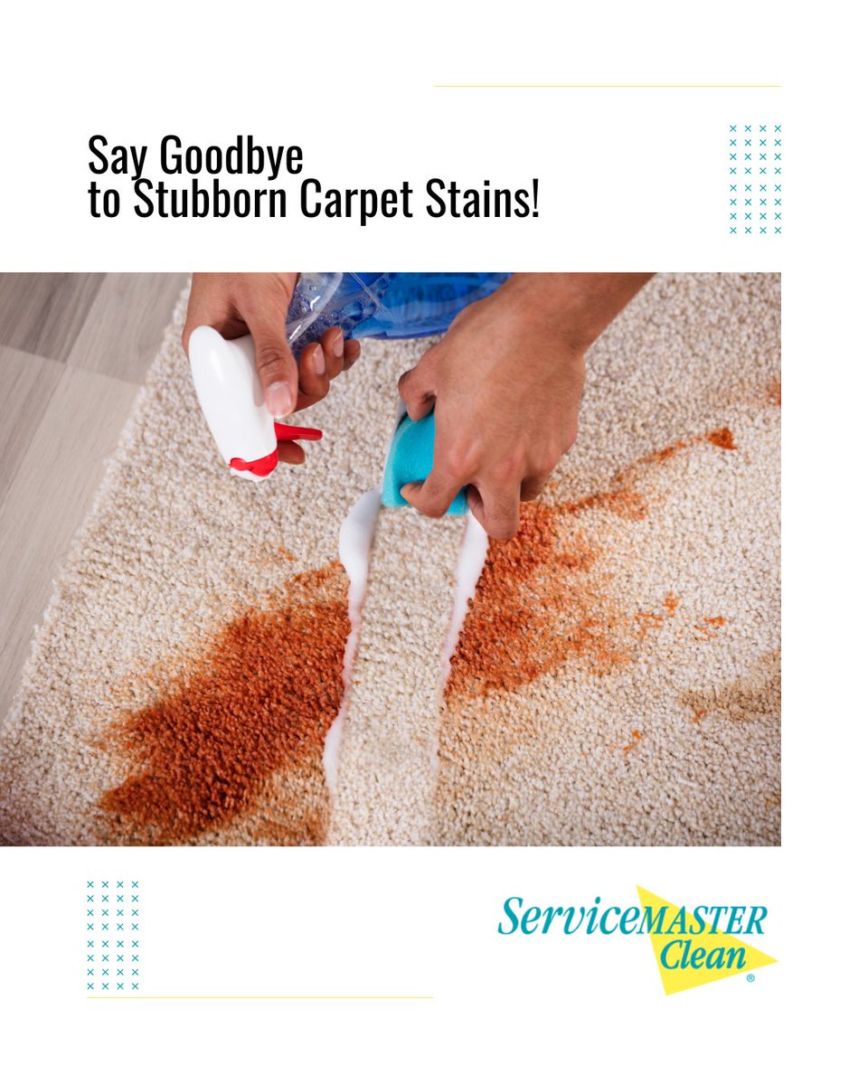 ServiceMasterTO's tweet image. 💡Pro tip: Always blot, never rub. Your carpets will thank you.

🌐 Learn more at: servicemasteroakville.com 

✅ Keep it fresh.
✅ Keep it clean.
✅ Keep it professional.

#CleanCarpetGoals #HomeCareEssentials #StainFreeLiving #CarpetLove #EcoCleanLiving #Pet
