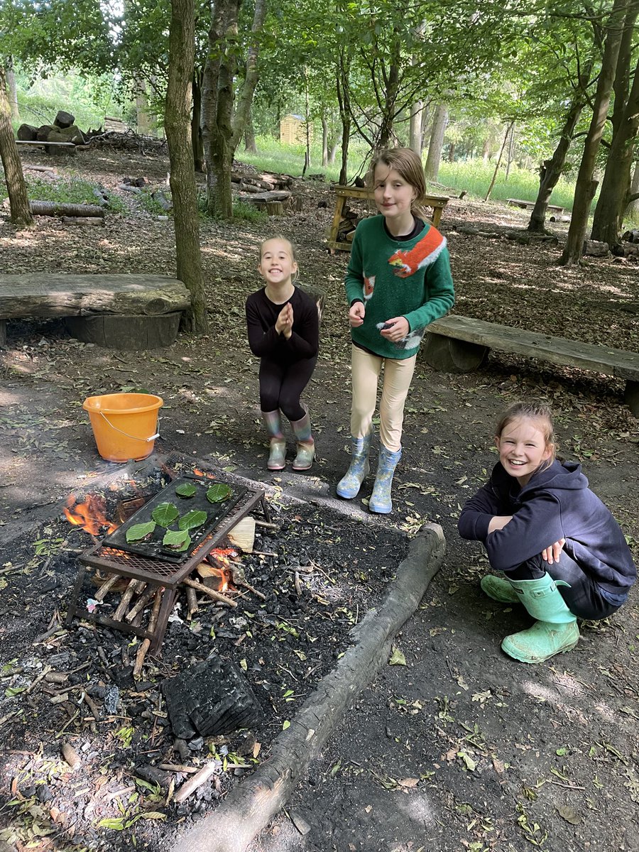 PipersForestSch's tweet image. Beech leaf brownies were on the snack list tonight at Forest school club. Delicious! #pipersprep #funoutdoors #pipersoutdoors