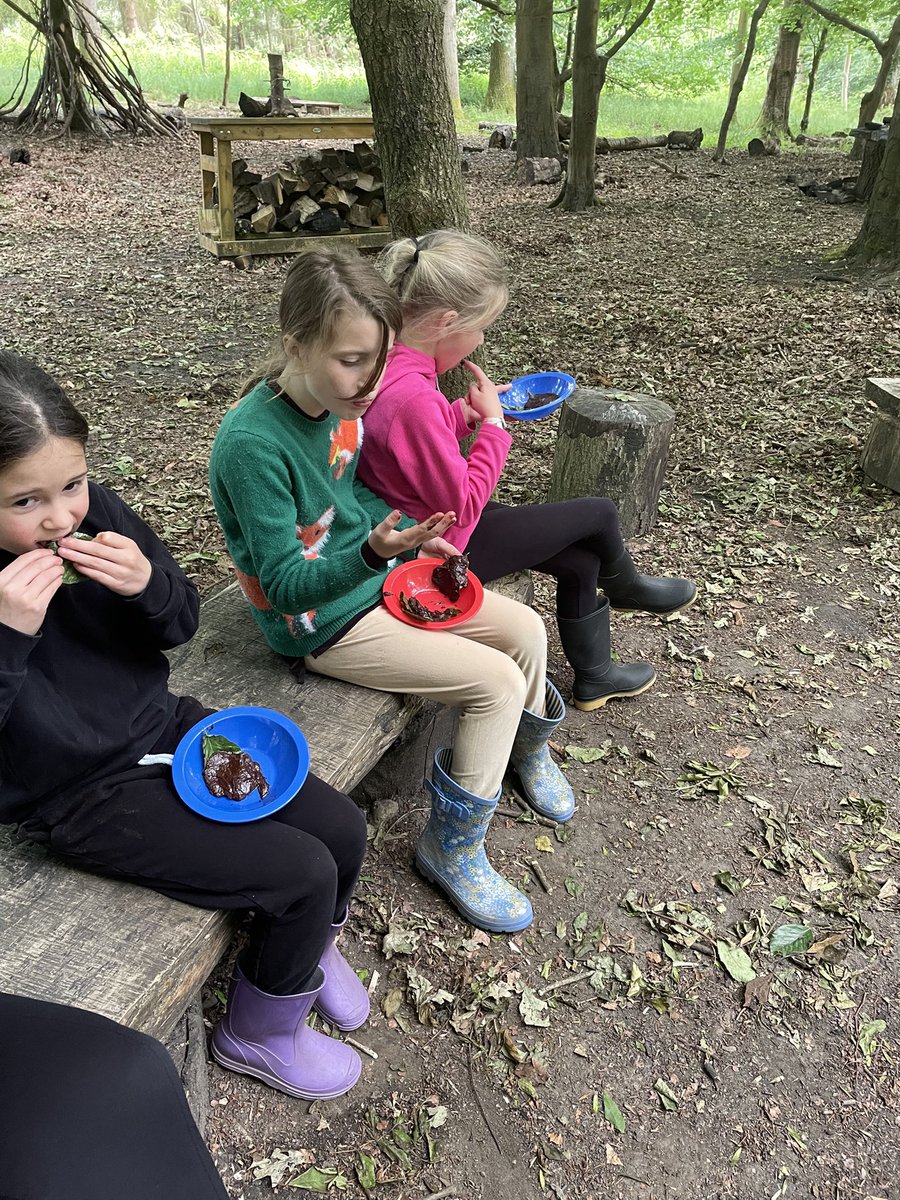 PipersForestSch's tweet image. Beech leaf brownies were on the snack list tonight at Forest school club. Delicious! #pipersprep #funoutdoors #pipersoutdoors