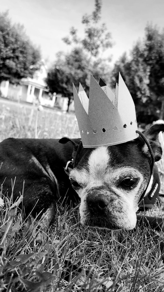 He’s the boss for the day… well everyday but especially today ♥️