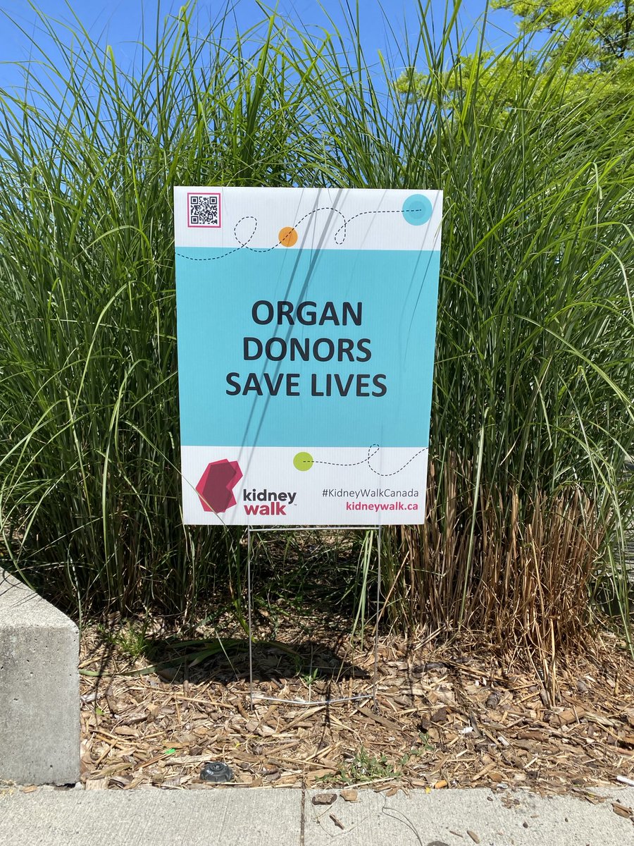 JMitchellNVAN's tweet photo. Great to kick off June with the Kidney Walk in Vancouver. Perfect sunny weather and a great community coming together in support of individuals and their families dealing with kidney disease. A big thank you to everyone who kindly sponsored my participation 🙏 #kidneywalk #kfoc https://t.co/z2EGn0o0oo
