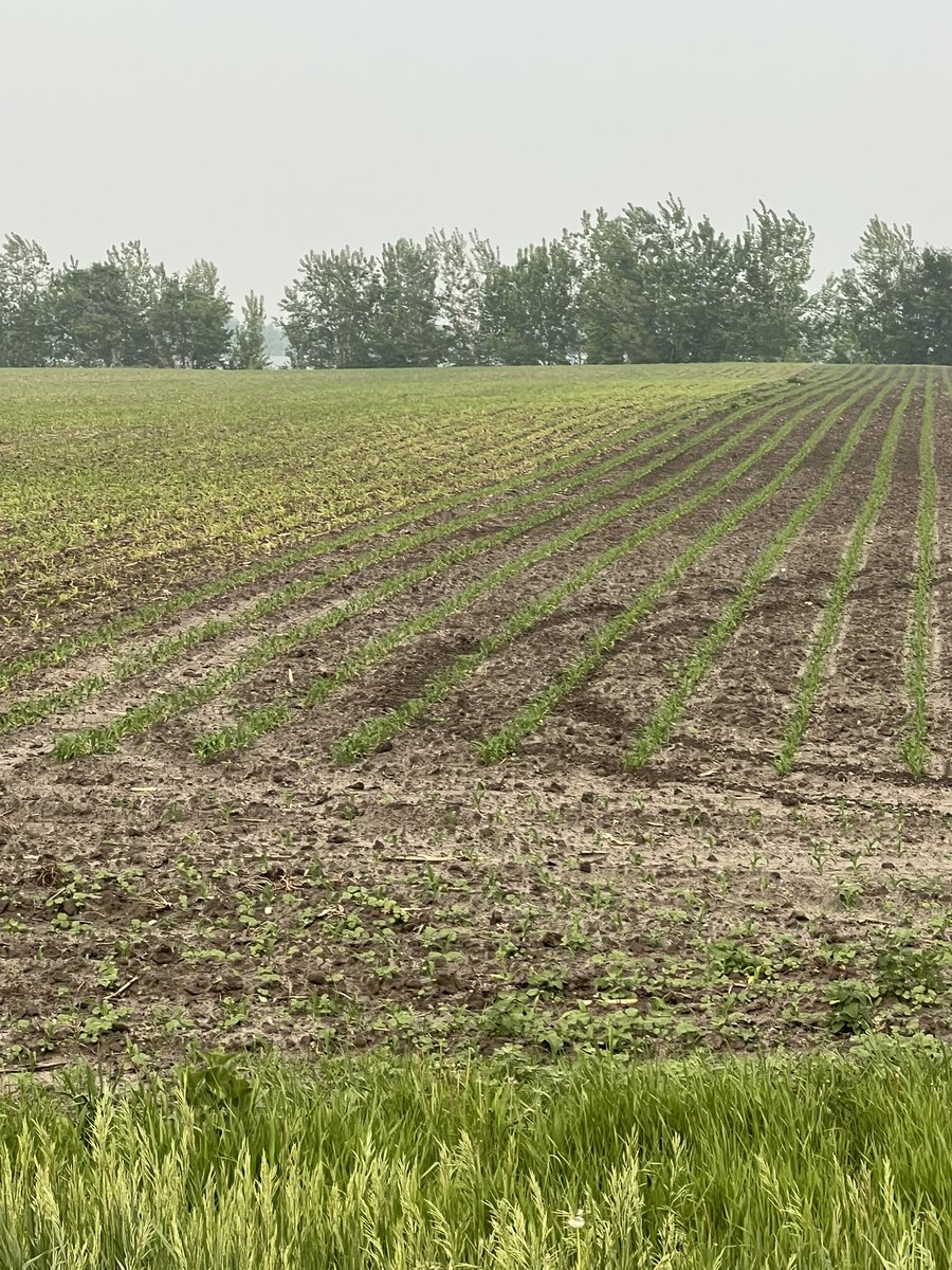 Kevin Crandall tweet media