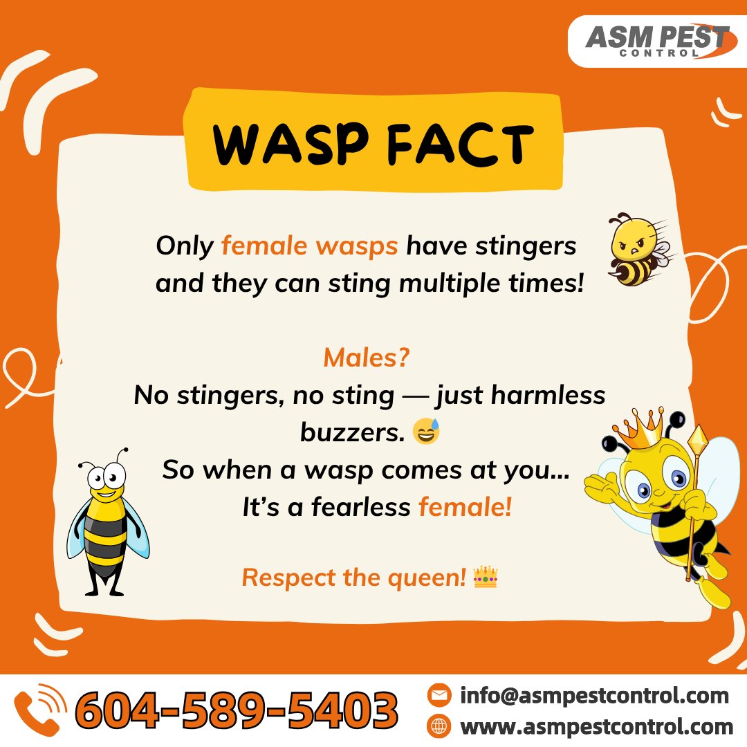 asmpestcontrol's tweet image. Buzzing too close for comfort? 🐝

ASM Pest Control removes bee and wasp nests safely and fast, before they become a bigger threat.

📷- 604 - 589 - 5403 
📷- asmpestcontrol.com/bee-wasp-remov…
 #ASM, #ASMPestControl, #waspControl