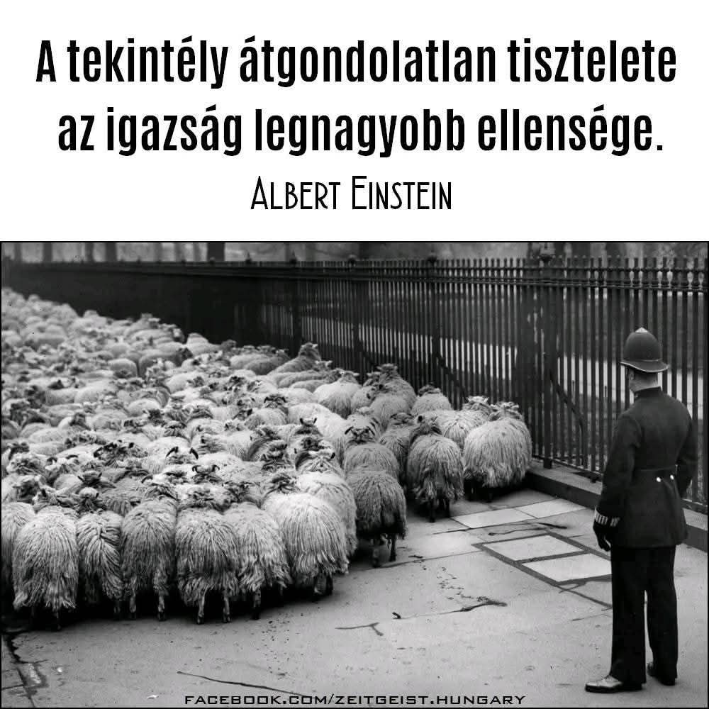 Medárd (@xmedardc) on Twitter photo 