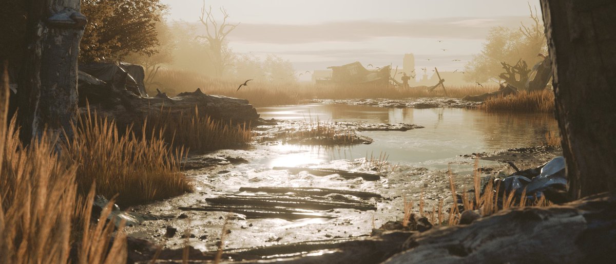 sterckx_tom's tweet photo. The second image'ore calming nature shot https://t.co/vgaPrp2Zqp