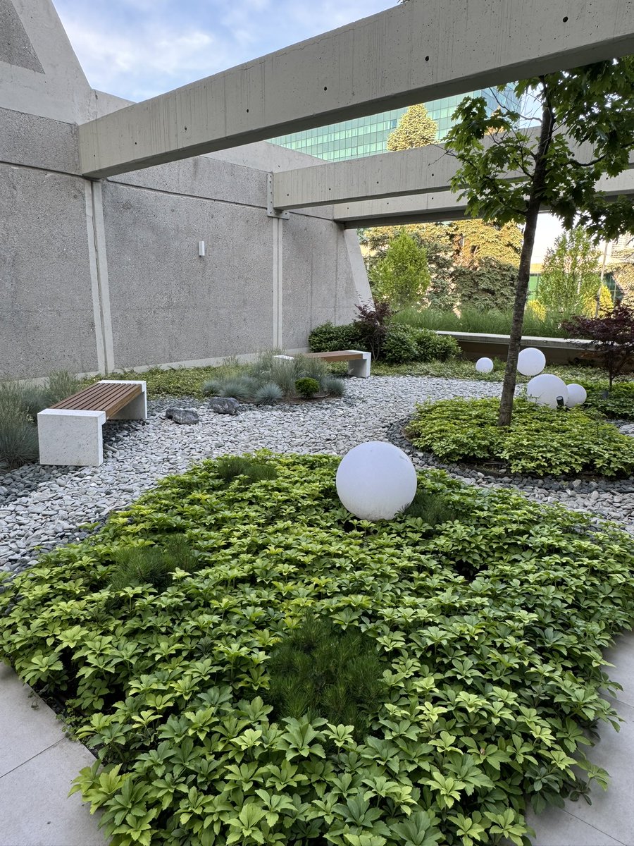 Brutalist zen garden in <a href="/ethbelgrade/">ETH Belgrade</a> speakers room is something else 😍