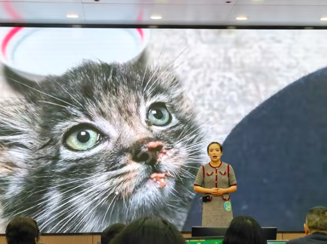 Live look at the Congress of Manulstan