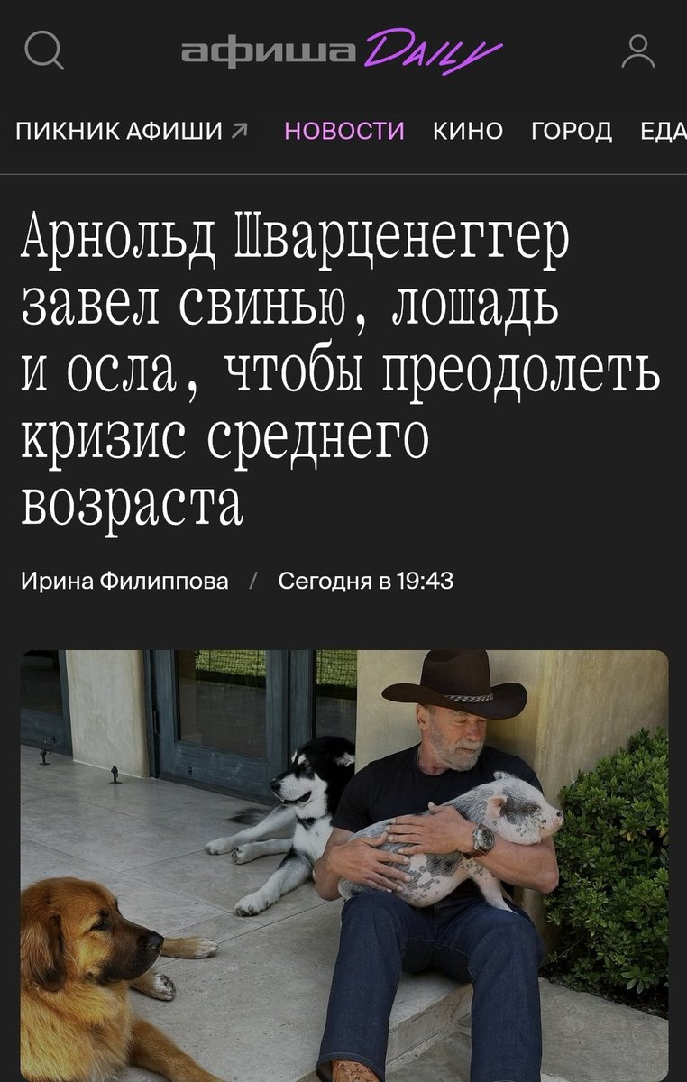 Ультравасилий и кот 𝕏 tweet media