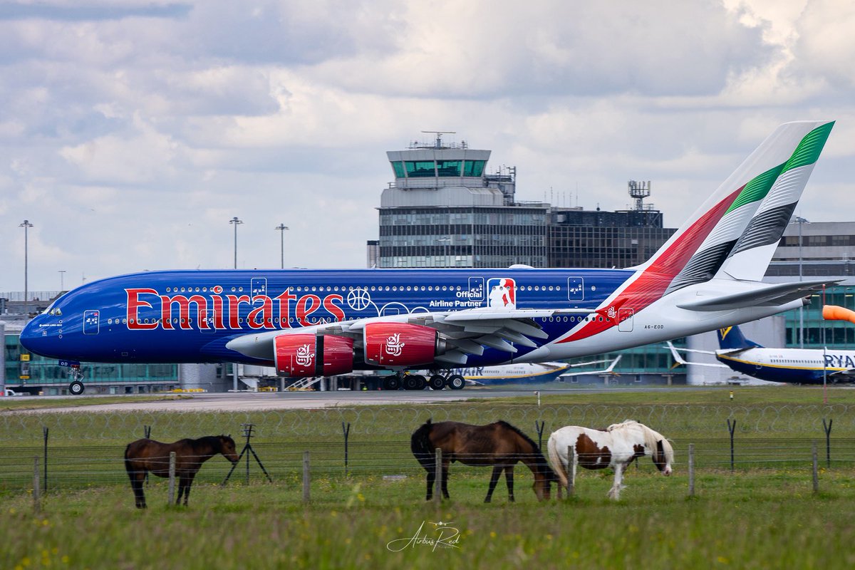 AirbusRed (@airbusred) on Twitter photo Horsepower! Emirates Airbus A380-841 A6-EOD in special <a href="/NBA/">NBA</a> livery landing at Manchester from Dubai. <a href="/manairport/">Manchester Airport</a> <a href="/emirates/">Emirates</a> <a href="/AirbusintheUK/">Airbus In The UK</a> #avgeek #aviation #aviationphotography #aviationdaily #Airbus #A380 ๐ฆ๐ช Horsepower! Emirates Airbus A380-841 A6-EOD in special <a href="/NBA/">NBA</a> livery landing at Manchester from Dubai. <a href="/manairport/">Manchester Airport</a> <a href="/emirates/">Emirates</a> <a href="/AirbusintheUK/">Airbus In The UK</a> #avgeek #aviation #aviationphotography #aviationdaily #Airbus #A380 ๐ฆ๐ช