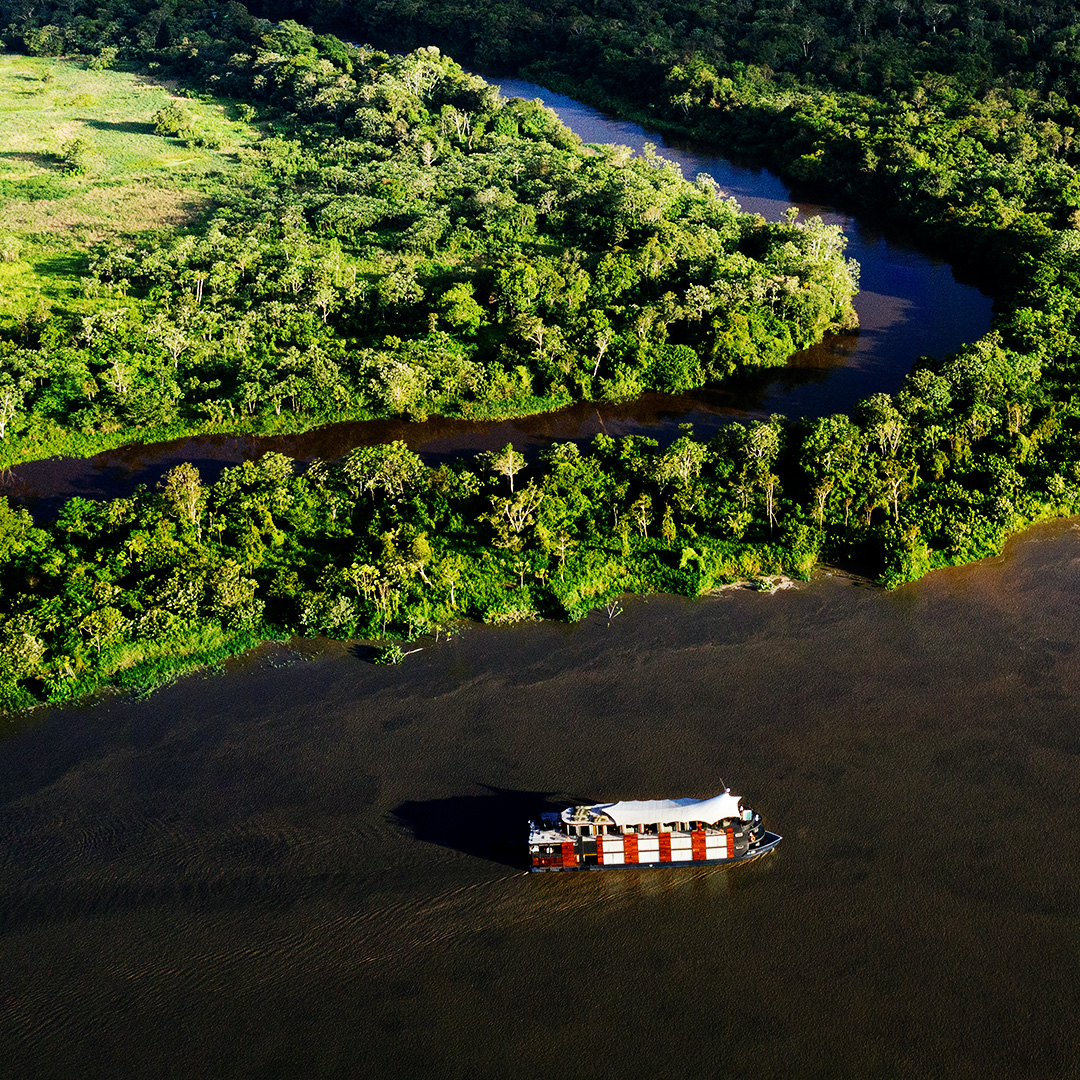 A Journey Beyond Imagination 🦜

#amazon #Peru #Amazing