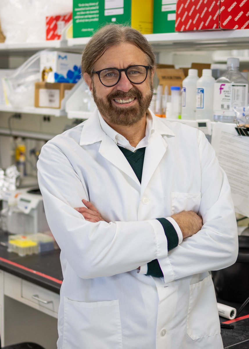 MSU (@michiganstateu) on Twitter photo An <a href="/MSUAgBio/">MSU AgBioResearch</a> researcher is discovering ways to improve treatments for autoimmune diseases such as lupus using omega-3 fatty acids. #SpartansWill An <a href="/MSUAgBio/">MSU AgBioResearch</a> researcher is discovering ways to improve treatments for autoimmune diseases such as lupus using omega-3 fatty acids. #SpartansWill