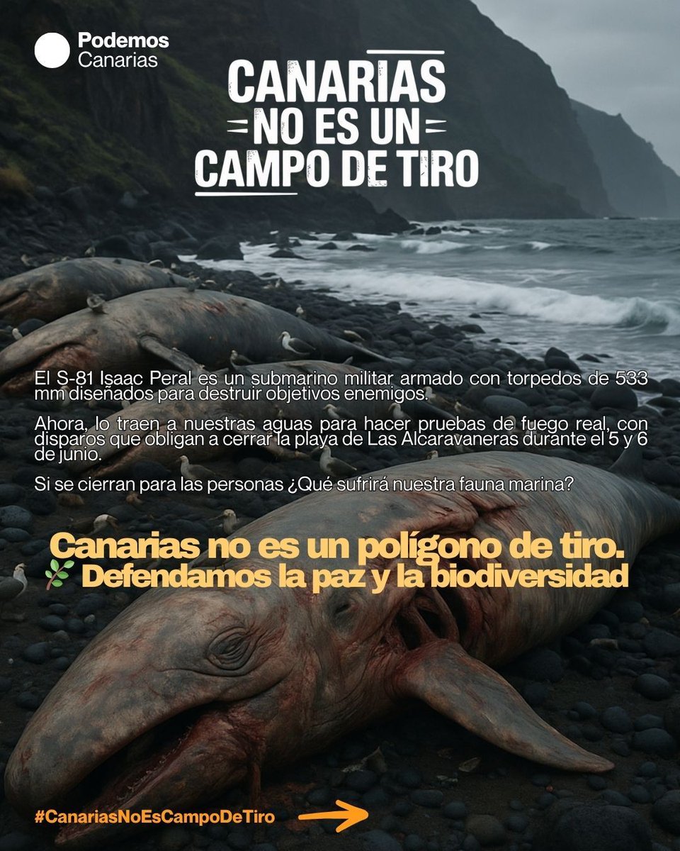 🐬 En 2002, 14 zifios aparecieron varados en Fuerteventura y Lanzarote, tras ejercicios de la OTAN.
Hoy quieren repetir la historia: un submarino armado que amenaza nuestra biodiversidad.
🌿 ¡Defendamos el mar, la vida y la paz!
#CanariasNoEsCampoDeTiro