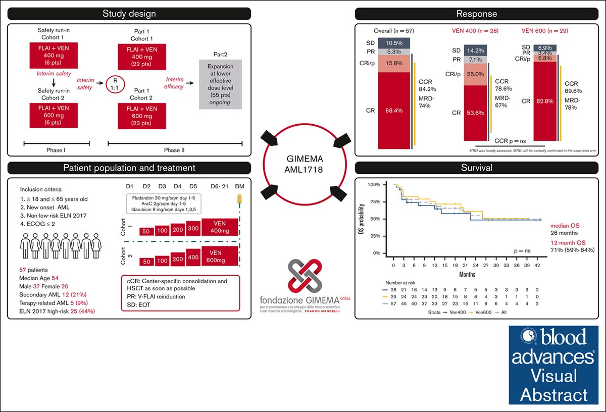 In non–low-risk AML, the addition of VEN to FLAI induction chemotherapy gives high rate of CR and limited toxicities. ow.ly/CSJZ50W0x2K #clinicaltrialsandobservations #myeloidneoplasia
