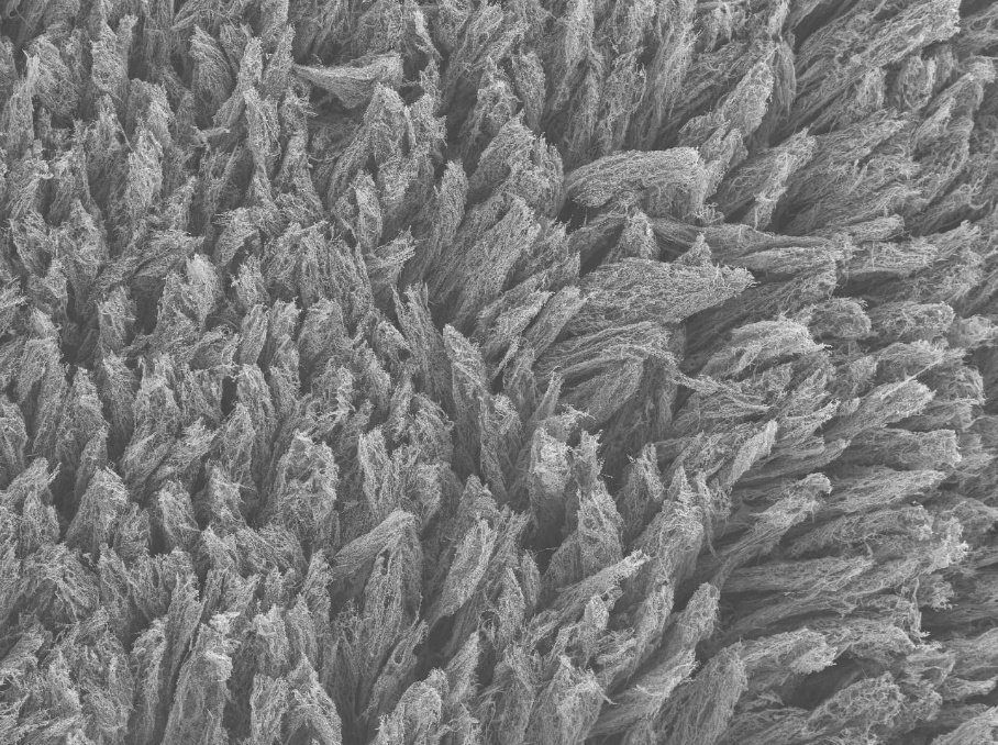 PNASNews's tweet image. #Graphene has myriad potential uses, but is difficult and expensive to make. Laser-induced graphene could offer a cheap alternative and point to #SustainableElectronics—though there are important caveats. In PNAS: ow.ly/YmSY50W2BQ1

#lasers #sustainability