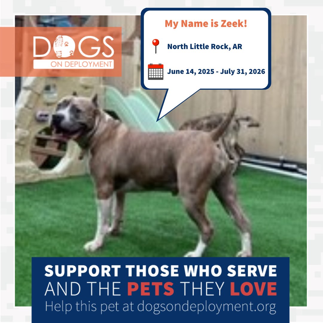 DogsonDeploymnt's tweet photo. #Virginia & #Arkansas, these military pets need boarders this month!
Cooper: https://t.co/f1p8KUcoea
Sarabi, Zazu, & Pumba: https://t.co/yMOkzYDasS
Zeek: https://t.co/QsRAptqZ0W
(Must be registered & logged on to view all information!)
#DoDFoster #FosterPet #DogsonDeployment https://t.co/t7q5yxYsDh