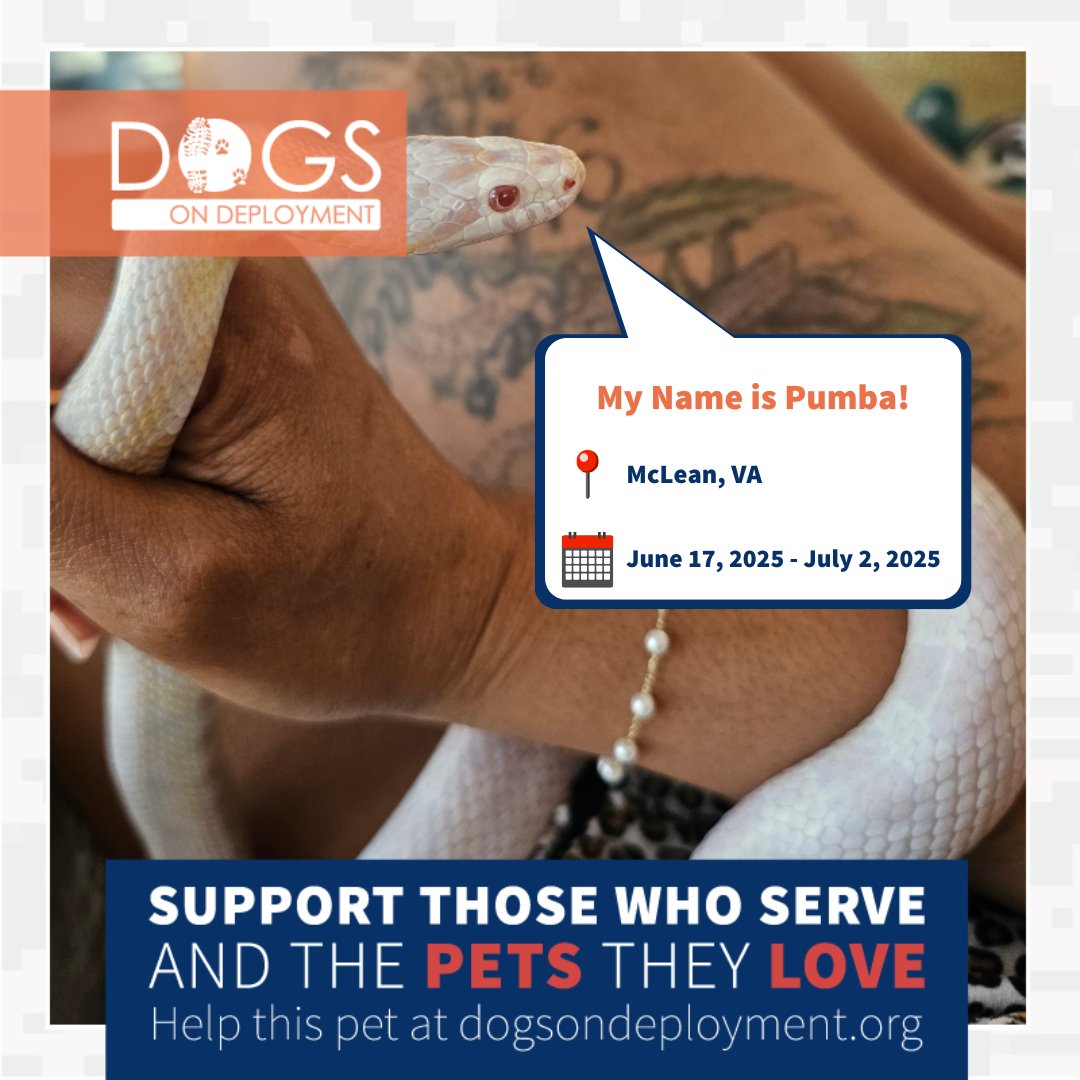 DogsonDeploymnt's tweet photo. #Virginia & #Arkansas, these military pets need boarders this month!
Cooper: https://t.co/f1p8KUcoea
Sarabi, Zazu, & Pumba: https://t.co/yMOkzYDasS
Zeek: https://t.co/QsRAptqZ0W
(Must be registered & logged on to view all information!)
#DoDFoster #FosterPet #DogsonDeployment https://t.co/t7q5yxYsDh