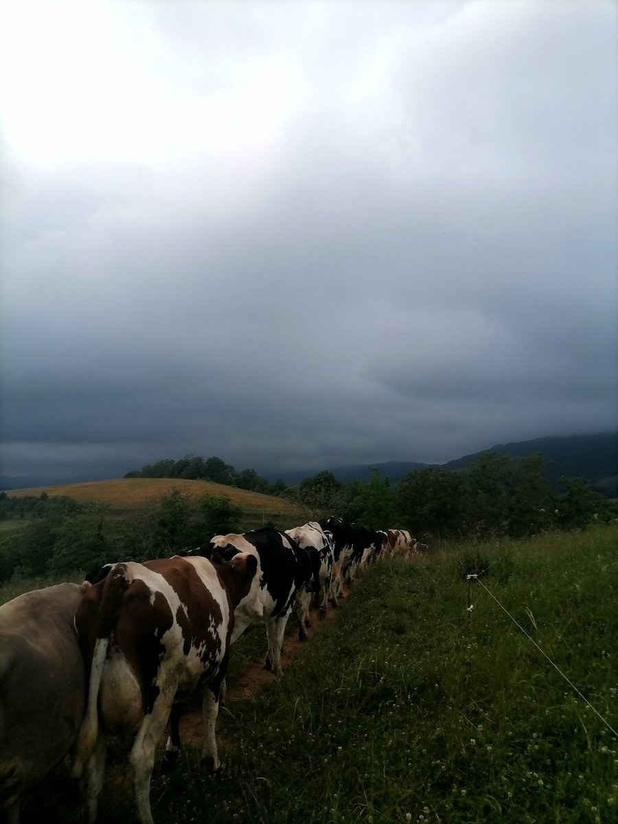 L'orage arrive
#laviedemaferme #aveyron #laitdemontagne