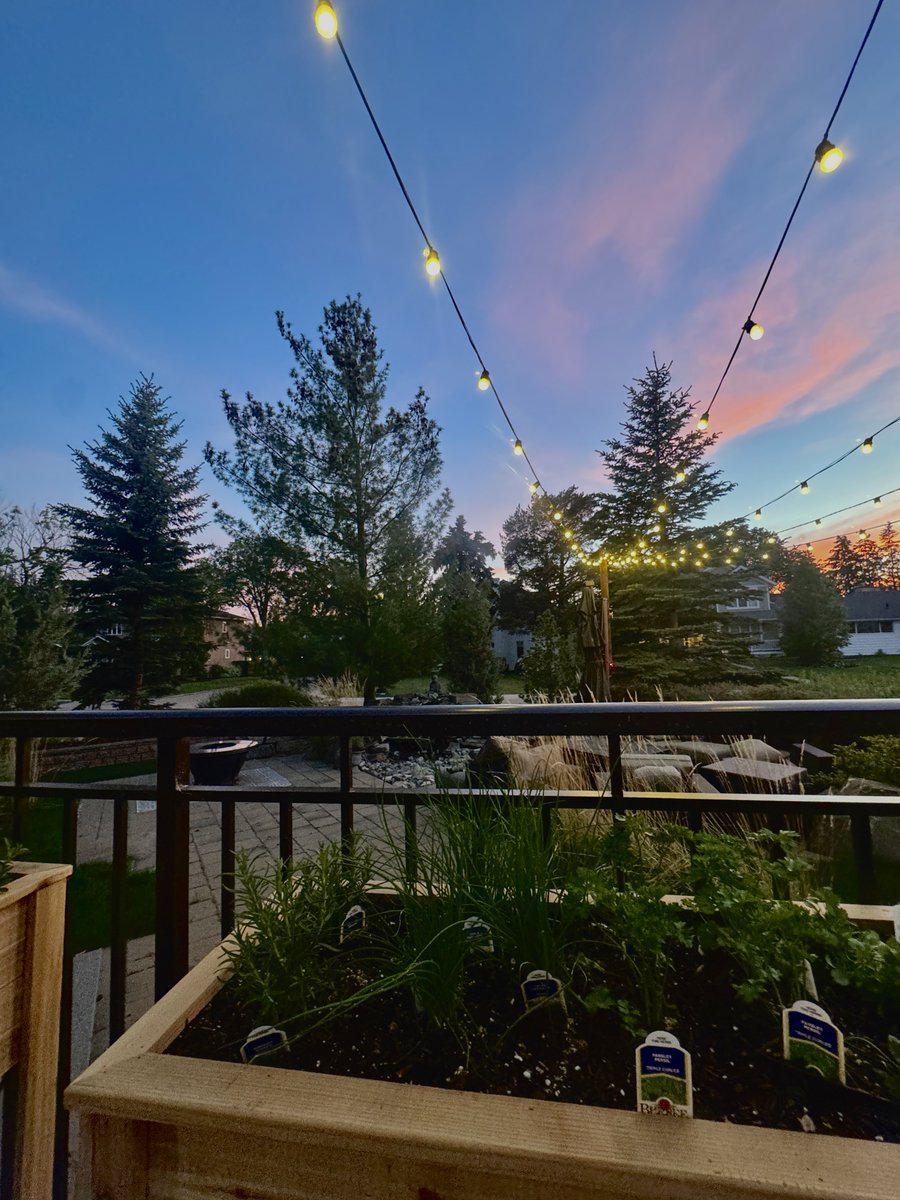 Lighting_YEG's tweet photo. Add cozy charm to your evenings — effortlessly.
✨ No DIY. No tangled cords.
✨ Custom-designed to fit your space.
✨ Professionally installed and hassle-free.

Let’s light up your summer:
https://t.co/wDbHhfcnAw
#PatioLighting #BackyardGlowUp #FiveStarHolidayDecor https://t.co/QuadYAkD4u