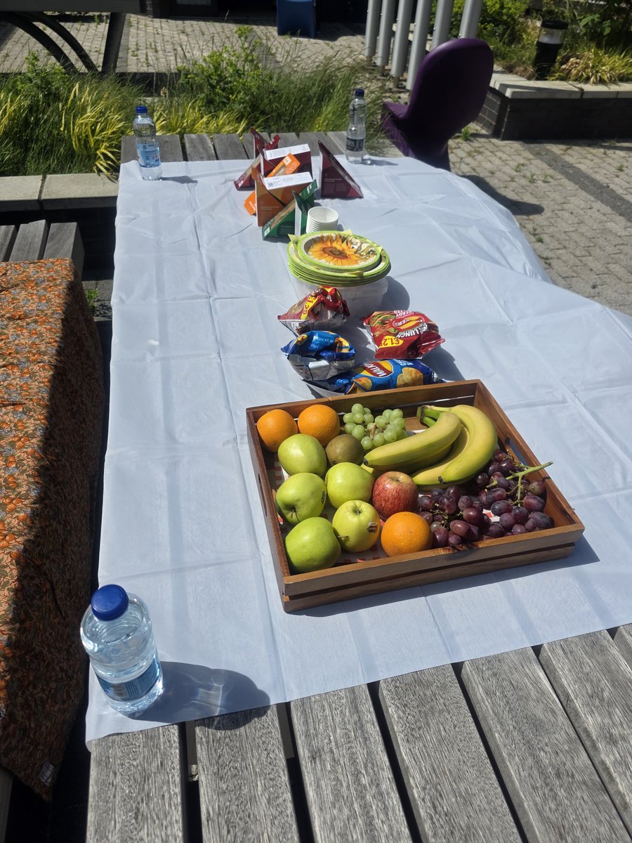 Sunflower House tweet media