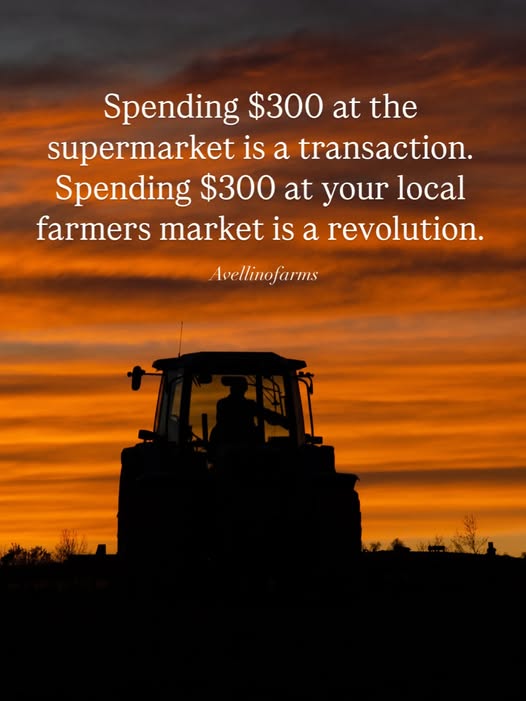 SoilHealthLabs's tweet image. No matter where you are...

Buy local! Support local farms, local communities (and often, get healthier foods)!

🎨: @avellinofarms