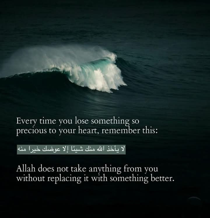 Maleeh36's tweet photo. *Everything you lost will be replaced by something better . In Shaa Allah.💖* https://t.co/RhR49QkoRA